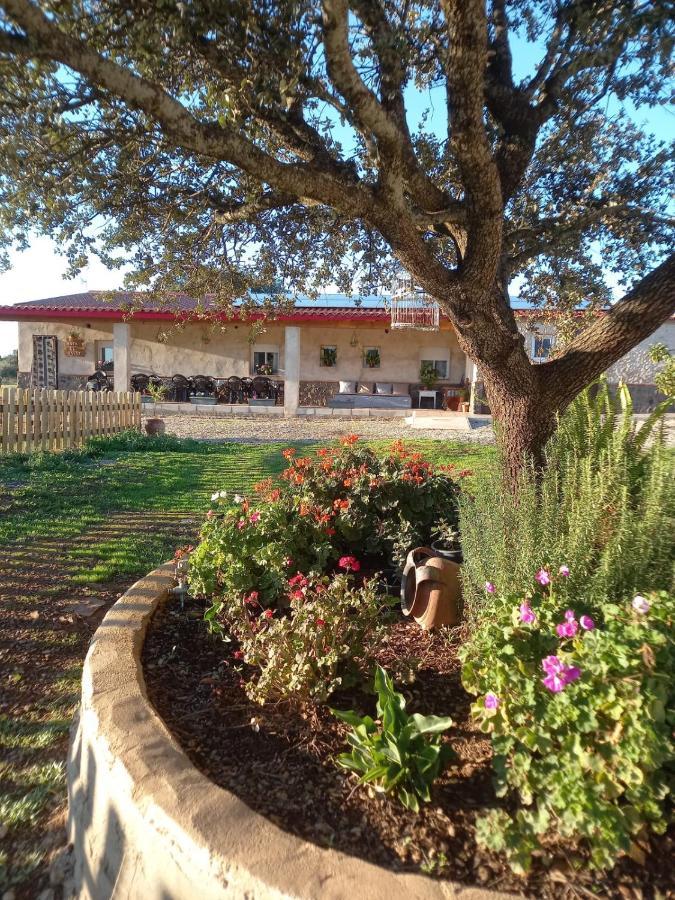 Casa Rural La Hoja El Valle Valdecaballeros Exterior photo